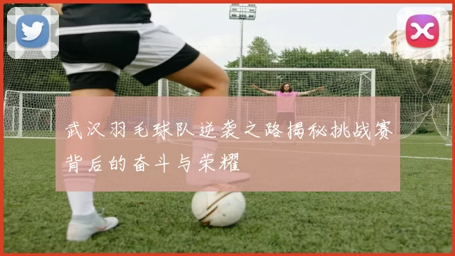 武汉羽毛球队逆袭之路揭秘挑战赛背后的奋斗与荣耀