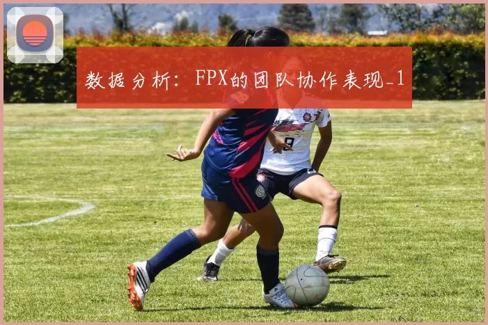 数据分析：FPX的团队协作表现_1