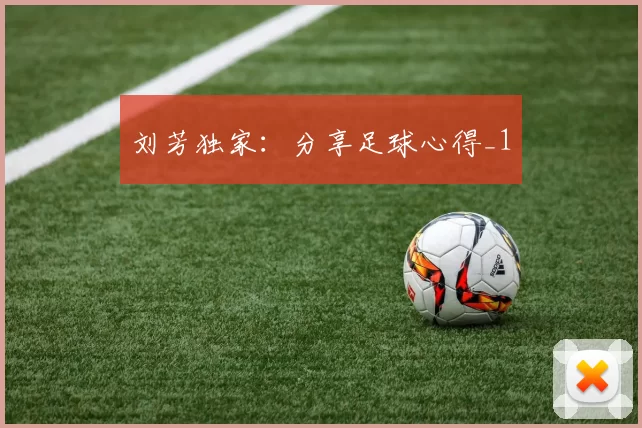 刘芳独家：分享足球心得_1