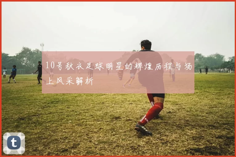 10号秋衣足球明星的辉煌历程与场上风采解析