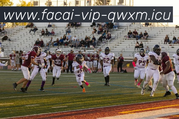 星空体育注册平台生态图